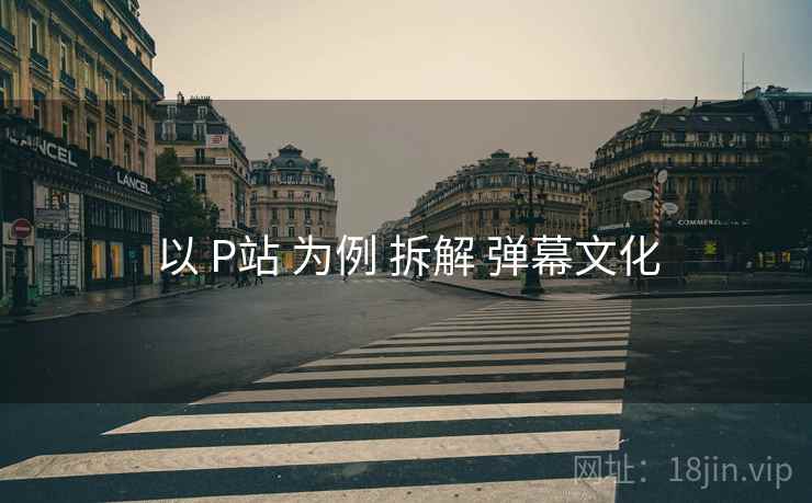 以 P站 为例 拆解 弹幕文化