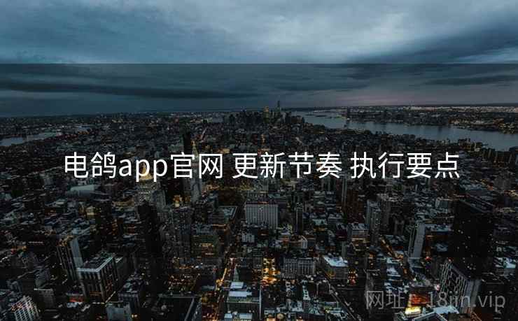 电鸽app官网 更新节奏 执行要点
