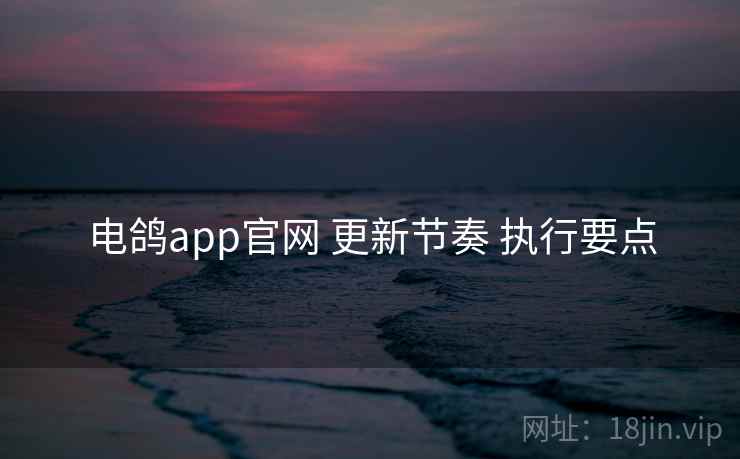 电鸽app官网 更新节奏 执行要点