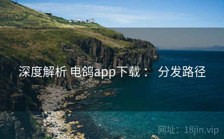 深度解析 电鸽app下载 ： 分发路径  第2张