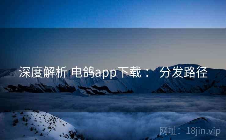 深度解析 电鸽app下载 ： 分发路径