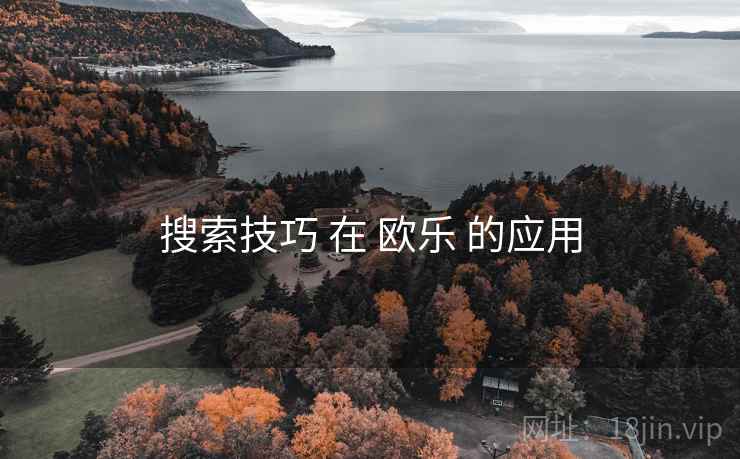 搜索技巧 在 欧乐 的应用