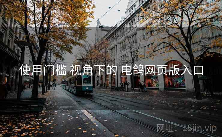 使用门槛 视角下的 电鸽网页版入口