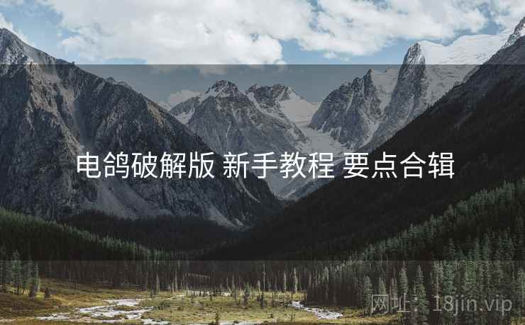 电鸽破解版 新手教程 要点合辑