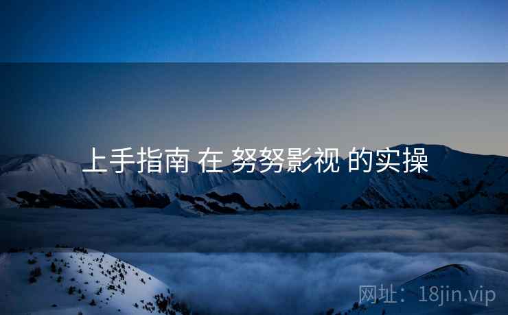 上手指南 在 努努影视 的实操