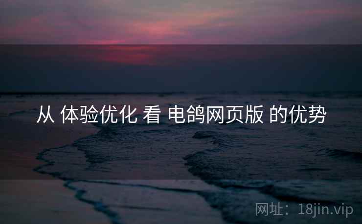 从 体验优化 看 电鸽网页版 的优势