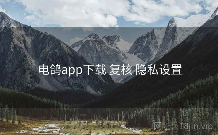 电鸽app下载 复核 隐私设置