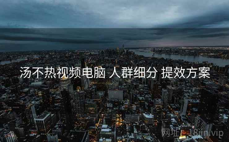 汤不热视频电脑 人群细分 提效方案