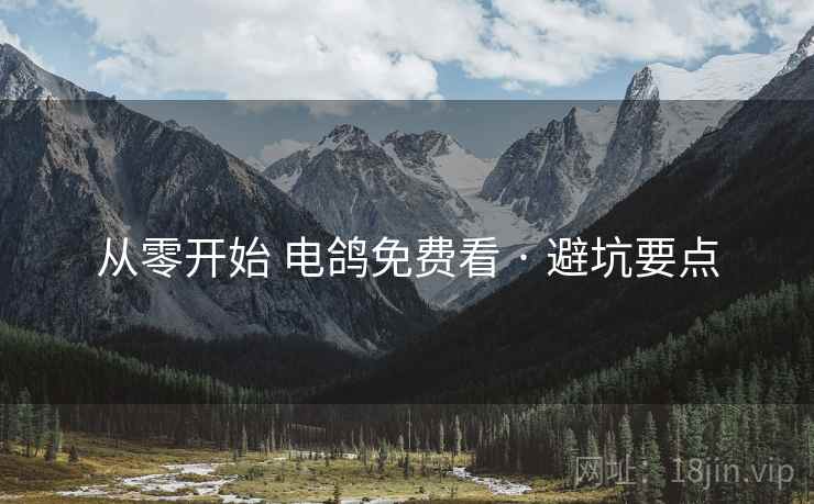 从零开始 电鸽免费看 · 避坑要点