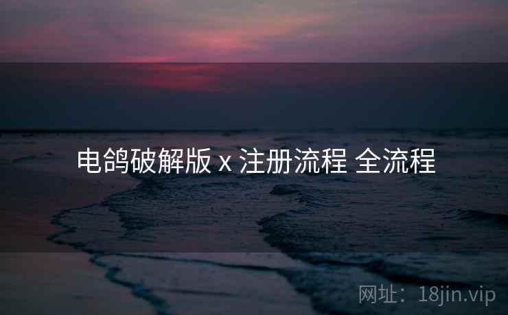 电鸽破解版 x 注册流程 全流程