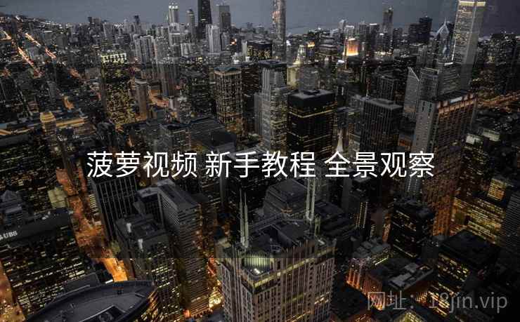 菠萝视频 新手教程 全景观察
