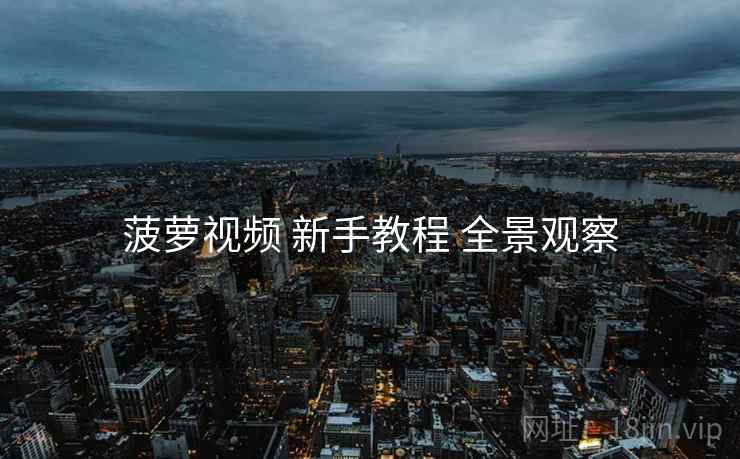 菠萝视频 新手教程 全景观察