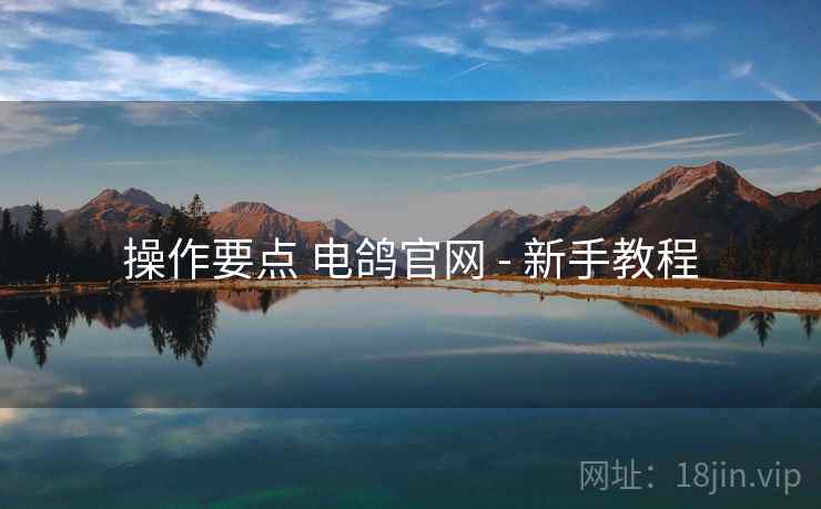 操作要点 电鸽官网 - 新手教程  第1张