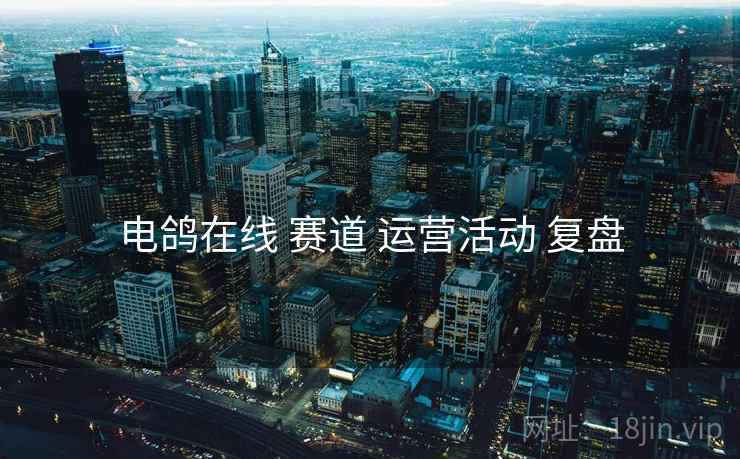电鸽在线 赛道 运营活动 复盘  第1张