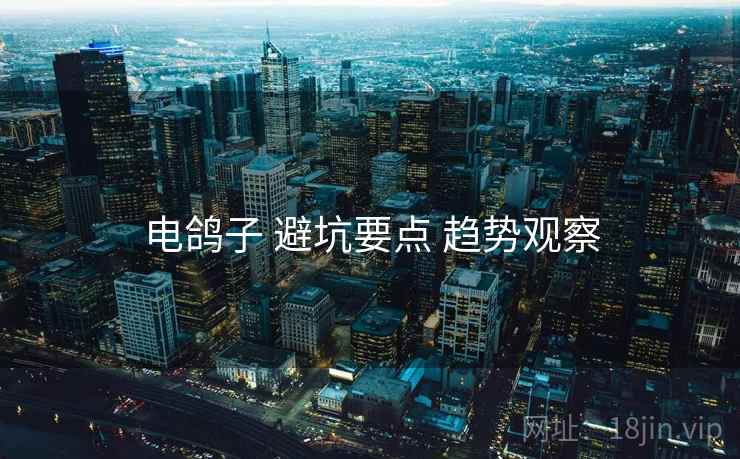电鸽子 避坑要点 趋势观察  第1张