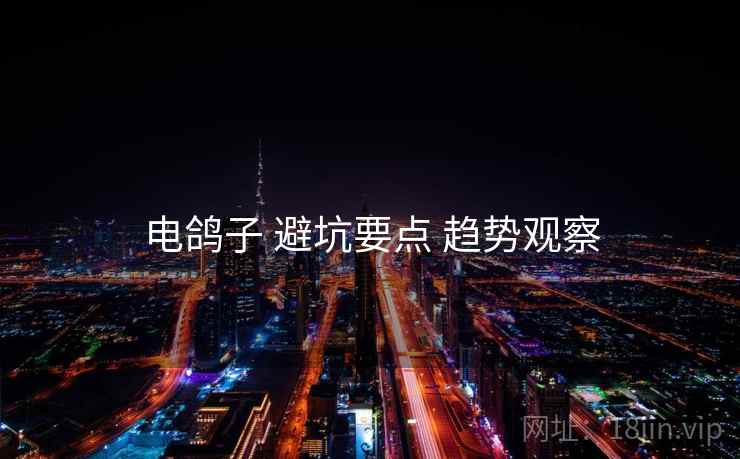 电鸽子 避坑要点 趋势观察  第2张