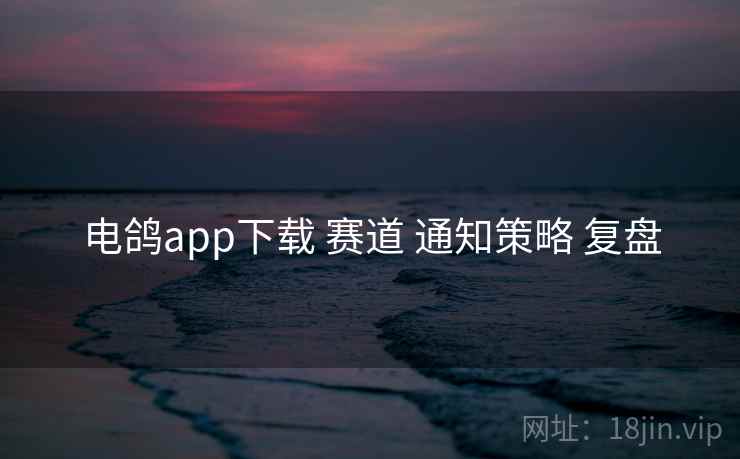 电鸽app下载 赛道 通知策略 复盘  第2张