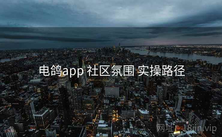 电鸽app 社区氛围 实操路径  第2张