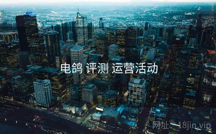电鸽 评测 运营活动  第2张