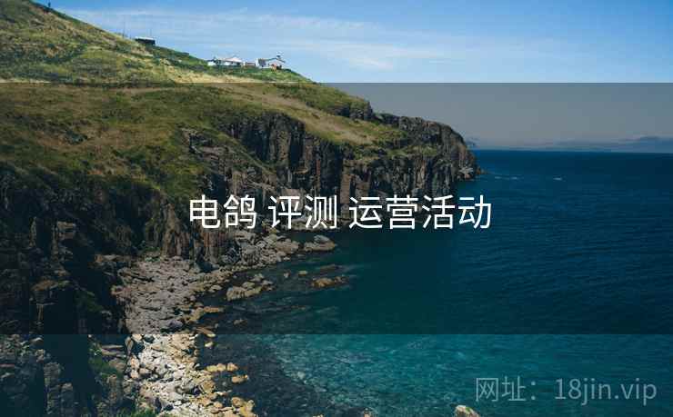 电鸽 评测 运营活动  第1张