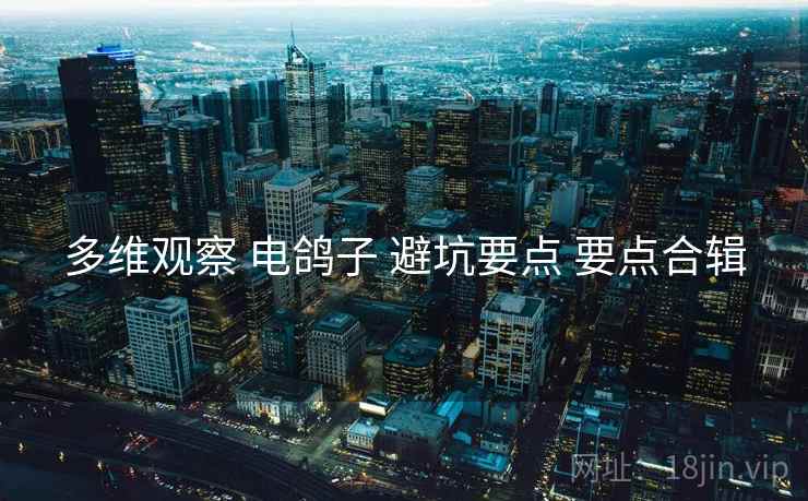 多维观察 电鸽子 避坑要点 要点合辑  第1张