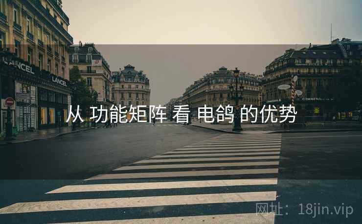 从 功能矩阵 看 电鸽 的优势