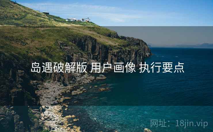 岛遇破解版 用户画像 执行要点