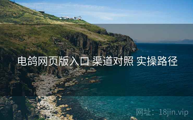 电鸽网页版入口 渠道对照 实操路径