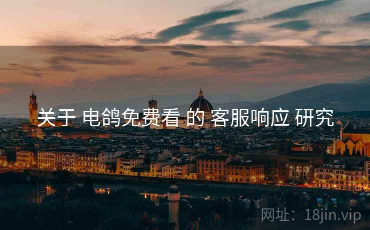 关于 电鸽免费看 的 客服响应 研究  第2张