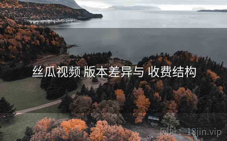丝瓜视频 版本差异与 收费结构