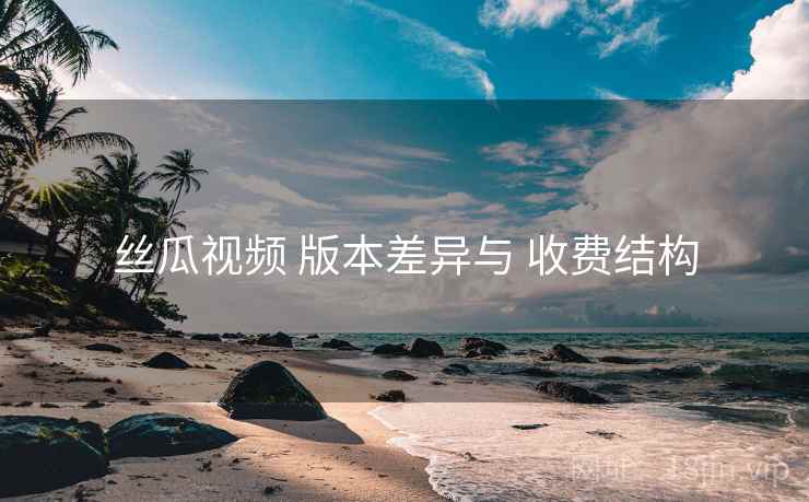 丝瓜视频 版本差异与 收费结构
