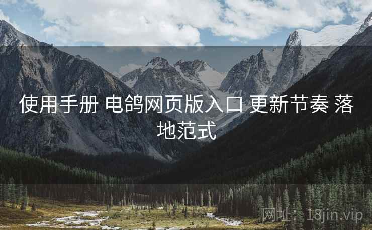 使用手册 电鸽网页版入口 更新节奏 落地范式