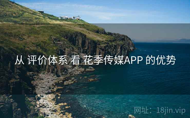从 评价体系 看 花季传媒APP 的优势