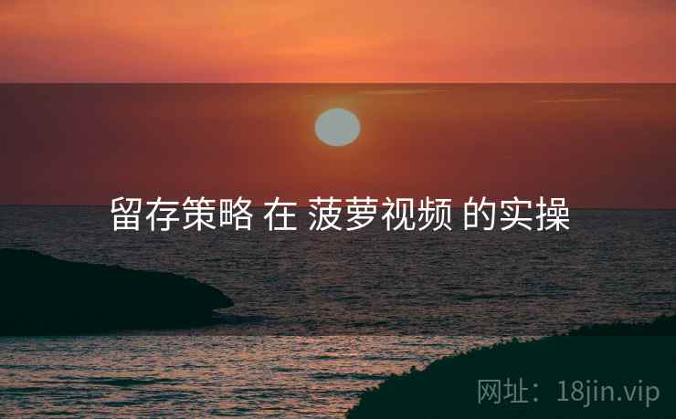 留存策略 在 菠萝视频 的实操