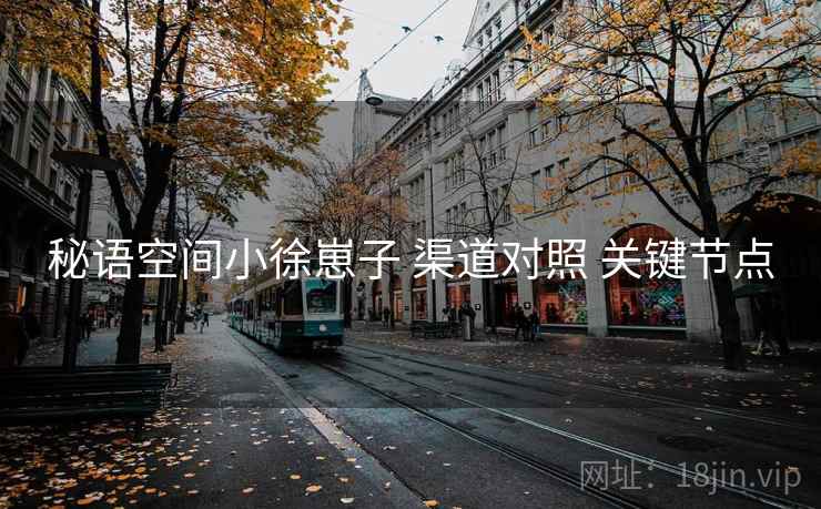 秘语空间小徐崽子 渠道对照 关键节点
