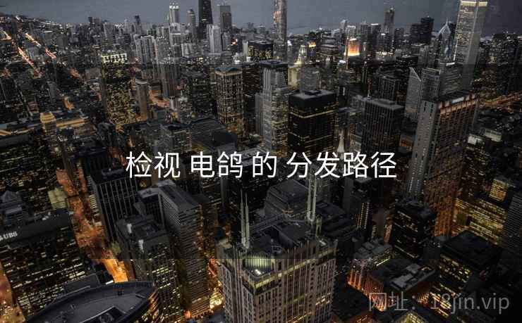 检视 电鸽 的 分发路径